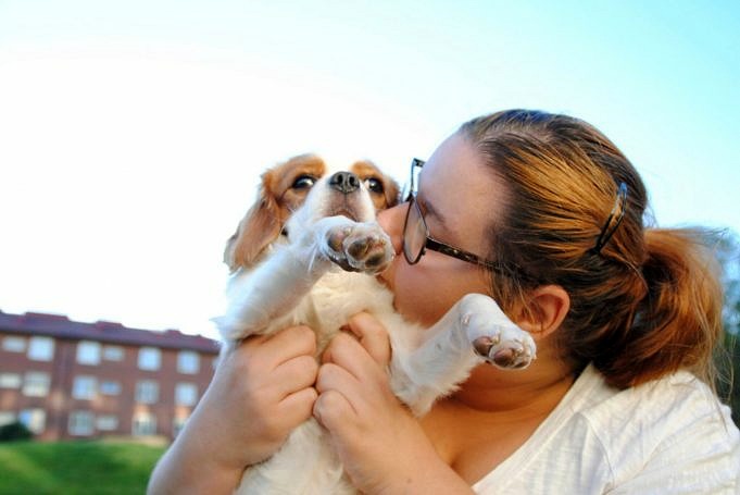 9 överraskande Sätt Som Chihuahuas Visar Tillgivenhet #3 är Roliga